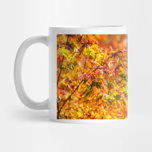 Maple tree red and orange autumn leafs Mug